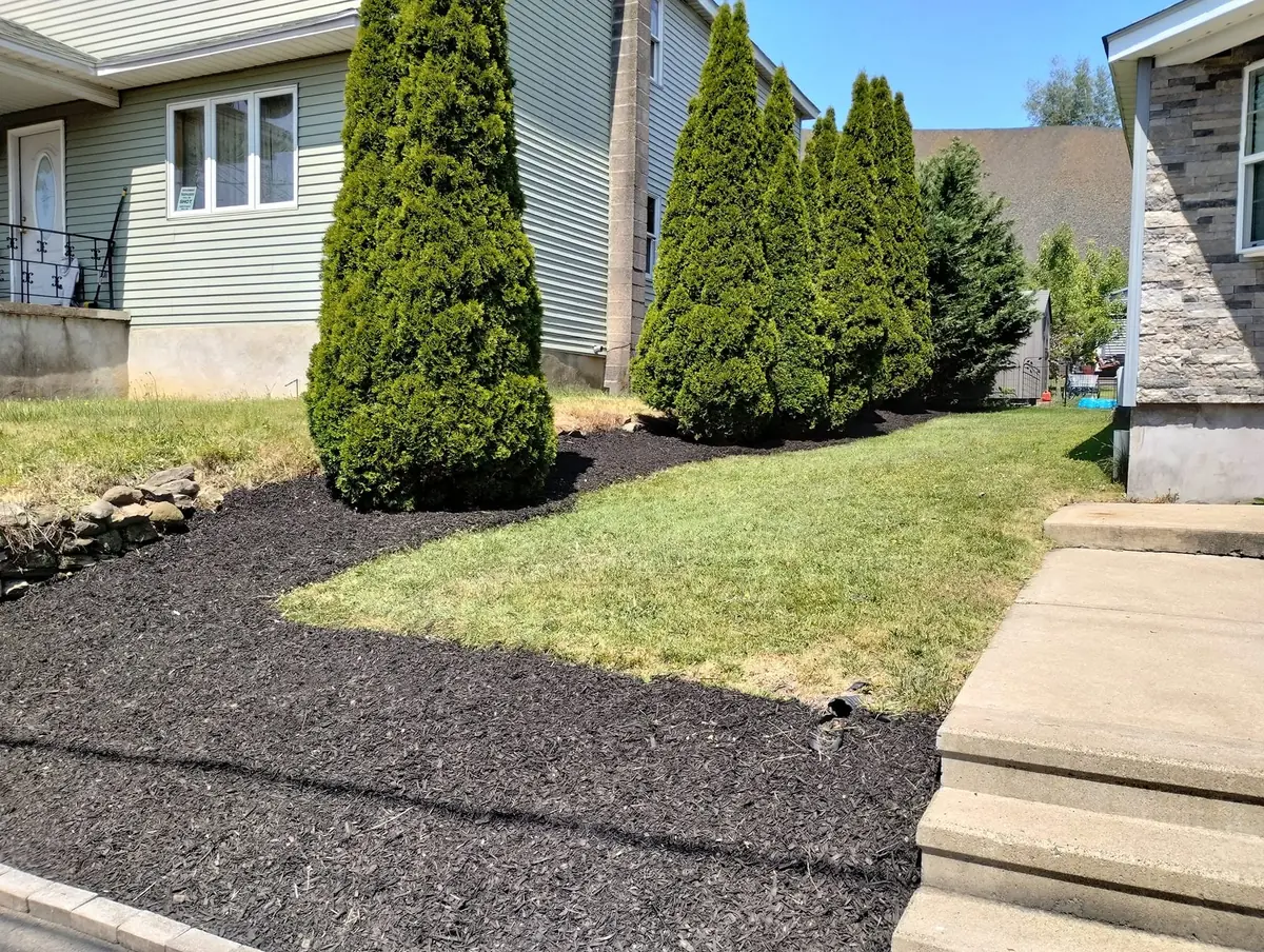 Renovated front yard mulch bed